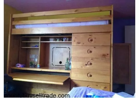 Loft/Bunk beds with trundle and desk